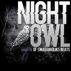 Picture for song 'Night Owl' by artist 'SWAGGAHOLIKS BEATS'