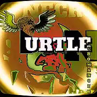 Picture for song 'Saucer' by artist 'Turtle Necromancer'