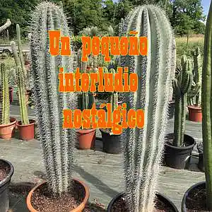 Picture for song 'Estaba pasando en una carretera (Version 2)' by artist 'Estelle Derrien'