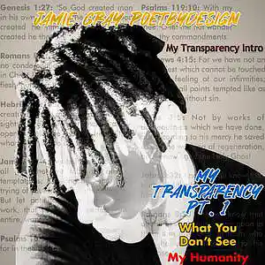 Picture for song 'My Tansparency Intro' by artist 'PoetByDesign'