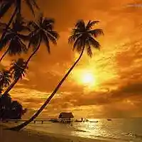 Picture for song 'PCP Productions- Right by the Beach' by artist 'Jamville Music PCP Productions'