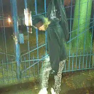 Picture for song 'chr0me h3arts' by artist 'prod. enzo'