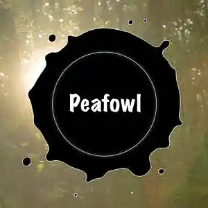 Picture for song 'Peafowl' by artist 'tcyk'