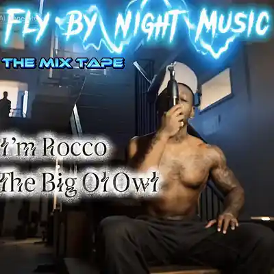 Picture for song 'OFF AND ON MOOD SWING' by artist 'THE BIG OL OWL'