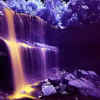 Song picture