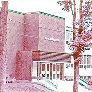 Picture for song 'High School Days' by artist 'Troy VanDusen'