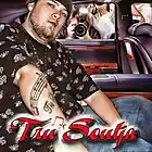 Picture for song 'Losing My Mind Featuring HollyWood' by artist 'TruSouljaTmi'