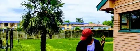 cover pic