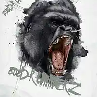 Picture for song 'Tank808 type beat' by artist '808DRUMMERZ'