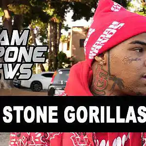 Picture for song 'Baby Stone Gorilla Type Beat 2022' by artist 'BeatsByM3L'