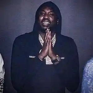 Picture for song 'Fallen Leaves / Meek Mill Type Beat (2 For 1)' by artist 'Buckroll'