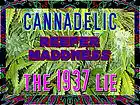 Picture for song 'JAH Buds' by artist 'CANNADELIC'