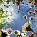 Picture for song 'green square 2' by artist 'dj LF'