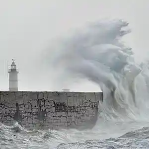 Picture for song 'Storm Winds' by artist 'Frank Axtell'