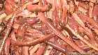 Picture for song '35. Worms' by artist 'Fred Snider'