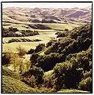 Picture for song 'Road to Ringwood' by artist 'Gary Irving'