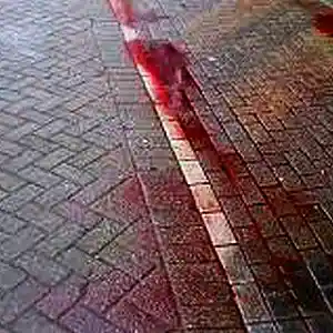 Picture for song 'Path Ethics' by artist 'Jammer59'