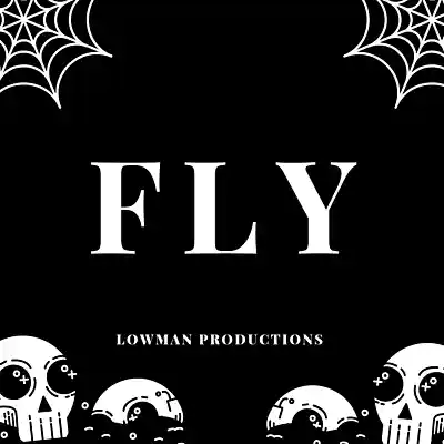 Picture for song 'Fly' by artist 'Lowman Productions'