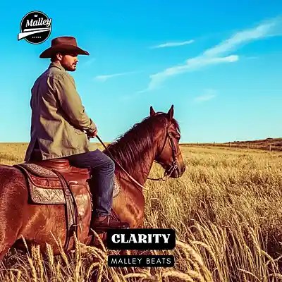 Picture for song 'CLARITY [MORGAN WALLEN COUNTRY TYPE BEAT]' by artist 'Malley Beats'