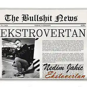 Picture for song 'Ekstrovertan' by artist 'Nedim Jahic'