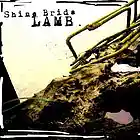 Picture for song 'Lambskin' by artist 'Regina George's Secrets'