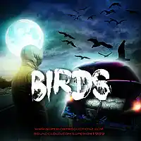Picture for song 'BIRDS ' by artist 'Superior Productions'