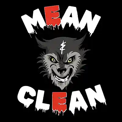 Picture for song 'Mean & Clean' by artist 'Swampman And The Machine'