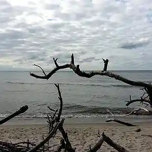 Picture for song 'West Beach' by artist 'DEEP SCHULZZ'