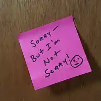 Picture for song 'Sorry, But I'm Not Sorry' by artist 'J Prock'