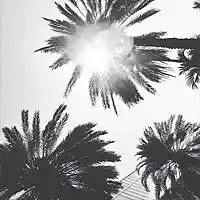 Picture for song 'Sunshine' by artist 'KNTBEATS'