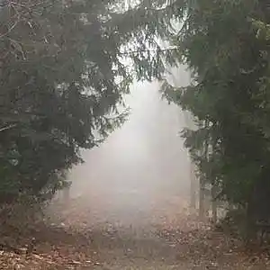 Picture for song 'Where Are The Angels' by artist 'Leonard Scaper'