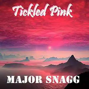 Picture for song 'Tickled Pink' by artist 'Major Snagg'