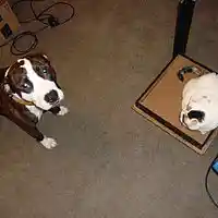 Picture for song 'Around the Dial' by artist 'Nightbreaker'