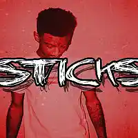 Picture for song '*STICKS* New Trap (Free DL)' by artist 'Sean Bentley'