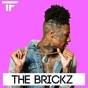 Picture for song 'The Brickz' by artist 'TrackFiendz'