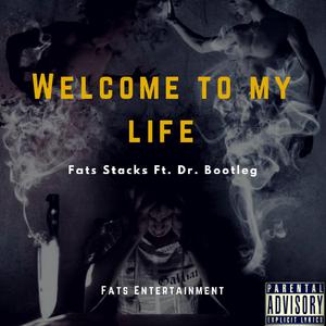 Picture for song 'Welcome to my life(Ft. Dr. Bootle' by artist 'Fats Stacks'