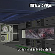 Picture for song 'Pump It Up' by artist 'ninja spice'