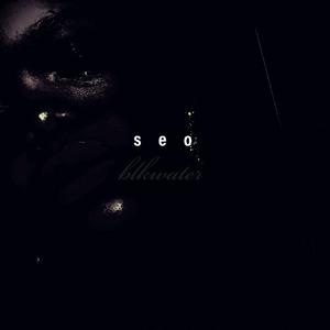 Picture for song 'Sentience Is Stupid.' by artist 'Seo - ethereal melancholy'