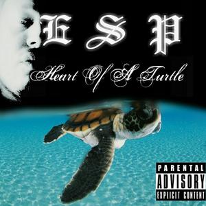 Picture for song '1.Esp-Release It' by artist 'ESP Heart Of A Turtle'