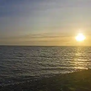 Picture for song '20240105_140344_WELT_fs' by artist '786 scheint-Al'lahs Bande'