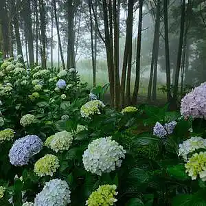 Picture for song 'lofi' by artist 'Jeffrey Aldridge'