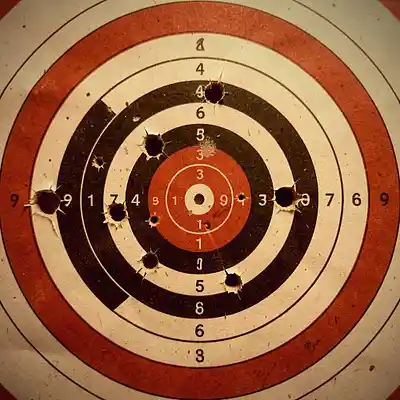 Song picture of 'Am I The Target'