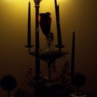 Picture for song '*New* Treats | FREE DL!' by artist 'BeatsByJayCee'