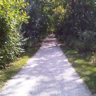 Picture for song 'warm waves softly swaying' by artist 'brightwater'