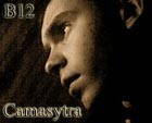 Picture for song 'Ya_tvoy_Favorit' by artist 'Camasytra(B12)'