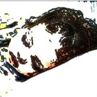 Picture for song 'Dream Me a Song' by artist 'Cam7Song'