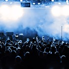 Picture for song 'All I Need' by artist 'CHUCK DIESEL'