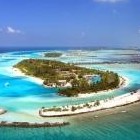 Picture for song 'the sweetest lies' by artist 'CP(the real CP)'