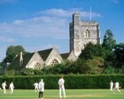 Picture for song 'The Game of Cricket' by artist 'David East'
