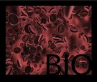 Picture for song 'BIO' by artist 'Dennis Hitchcox'